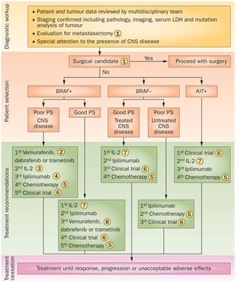 Behandel Algoritme.jpg