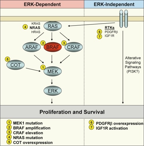 Eenvoudige weergave van een signaalpad