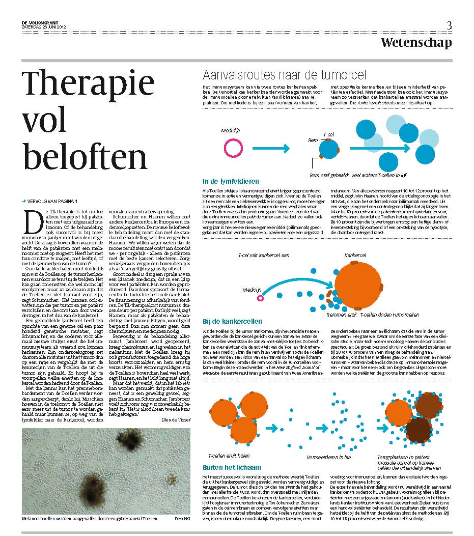 Volkskrant 2